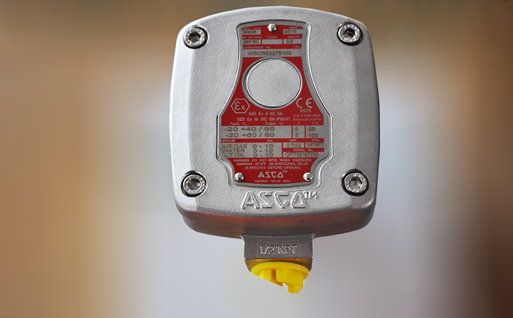 DSC_1404已处理.jpg DSC_1404已处理.jpg